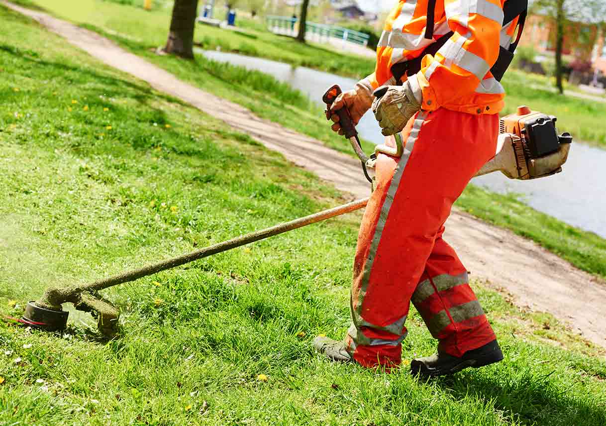 Lawn Mower Maintenance Options Best Pick Reports